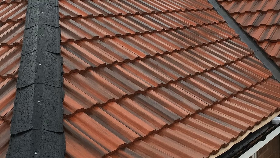 Your Go-To Roofing Contractors for All Your Needs